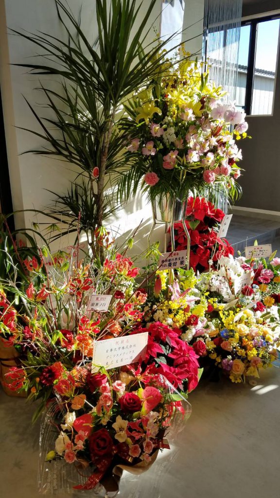 店内を彩るお花たち